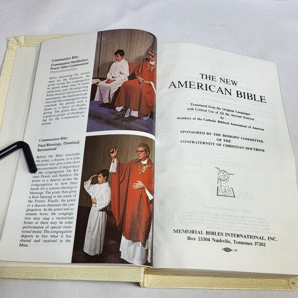 Holy Bible Illustrated Light of the World Edition Vintage Wood Cedar Box - Picture 11 of 15